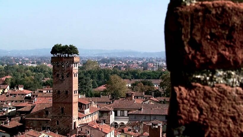 Torre Guinigi em Lucca