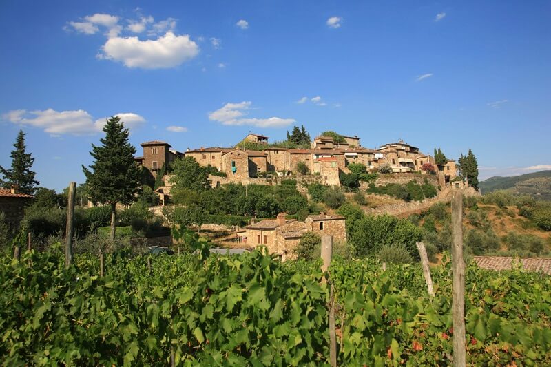 Vinícola Montefioralle Winery em Chianti na Toscana 