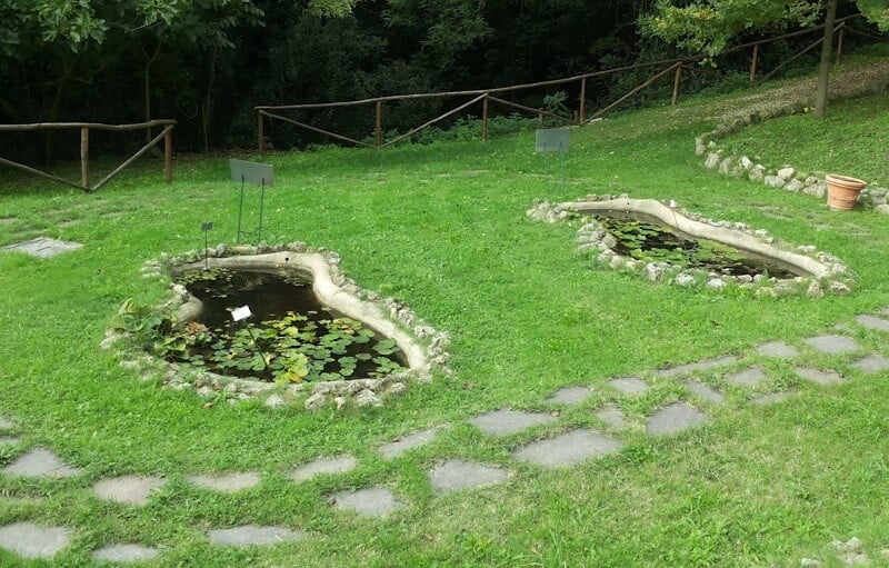 Laguinhos do Orto Botânico dell'Universitá di Siena