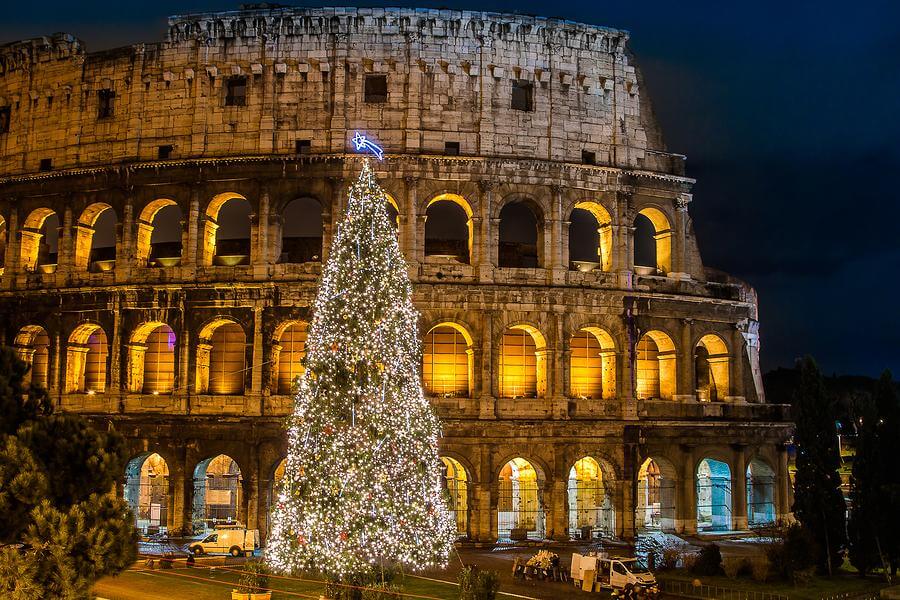 Árvore de Natal montada na frente do Coliseu em Roma