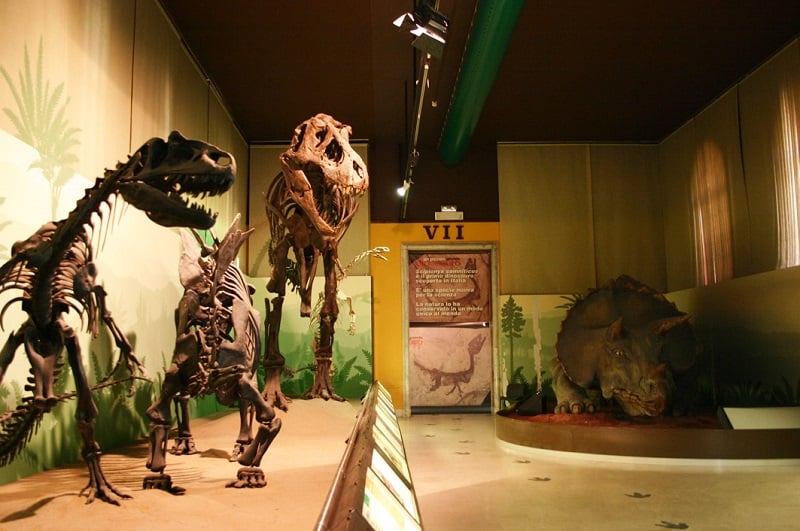 Esqueletos de dinossauros expostos no museu